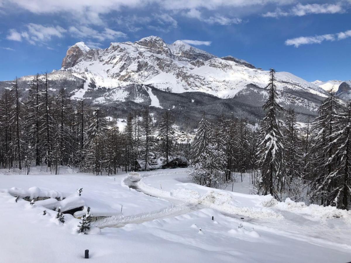 Luxury Panoramic 3Br Apt 2Min To Centre 5Min To Lifts Cortina dʼAmpezzo Exterior foto
